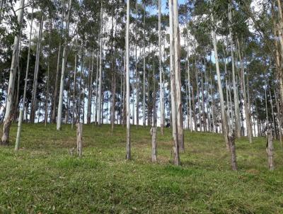 Chcara para Venda, em Presidente Getlio, bairro Rio Krauel