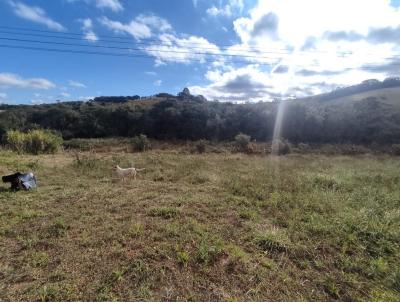 Terreno para Venda, em , bairro rea Rural