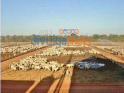 Fazenda para Venda, em Goinia, bairro Zona rural