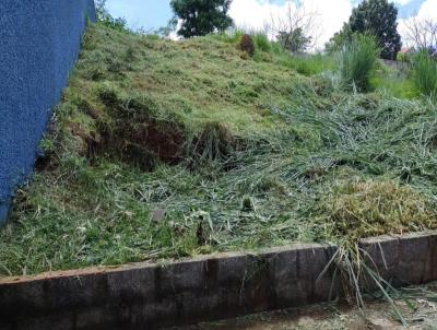 Terreno para Venda, em Bragana Paulista, bairro Residencial Recanto dos Ipes II