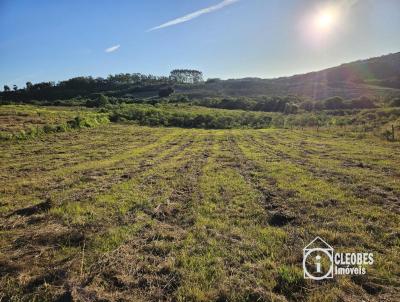 Stio / Chcara para Venda, em Encruzilhada do Sul, bairro Sanga Funda