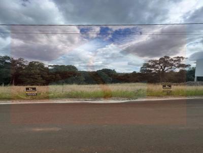 Terreno para Venda, em Concrdia, bairro Salete