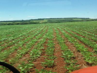 Fazenda para Venda, em Timburi, bairro Zona Rural, 3 dormitrios, 3 banheiros, 2 sutes, 4 vagas