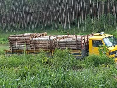 Fazenda para Venda, em Capo Bonito, bairro Zona Rural