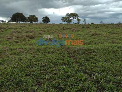 Fazenda para Venda, em Caldas Novas, bairro Zona rural