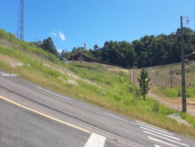 Terreno para Venda, em So Jos do Cedro, bairro Loteamento Alta Colina