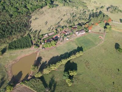 Haras para Venda, em Saltinho, bairro rea Rural de Saltinho, 3 dormitrios, 3 banheiros