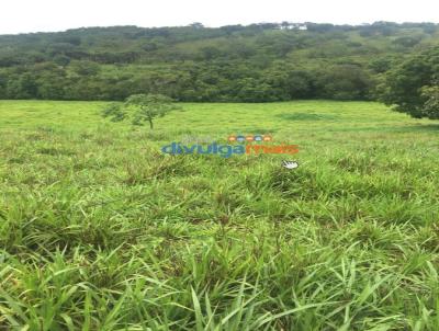 Fazenda para Venda, em gua Limpa, bairro Zona rural