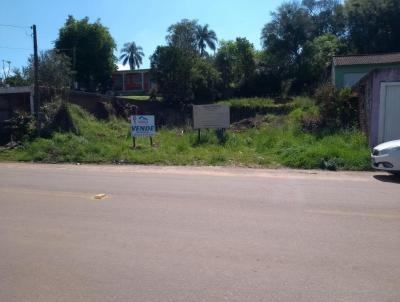 Terreno para Venda, em Mata, bairro Centro