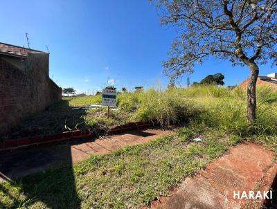 Terreno para Venda, em Maring, bairro Jardim Aurora