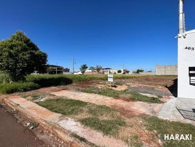 Terreno para Venda, em Maring, bairro Jardim Espanha