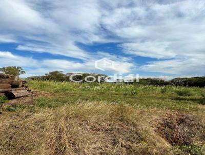 Terreno para Venda, em Santa Rosa, bairro Interior