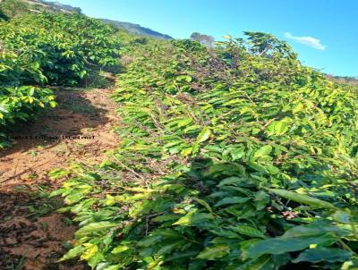 Chcara para Venda, em Ouro Fino, bairro RURAL