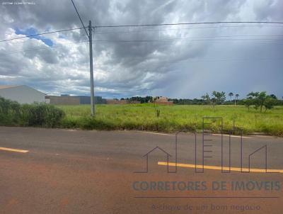 Terreno para Venda, em Campo Grande, bairro Caiob