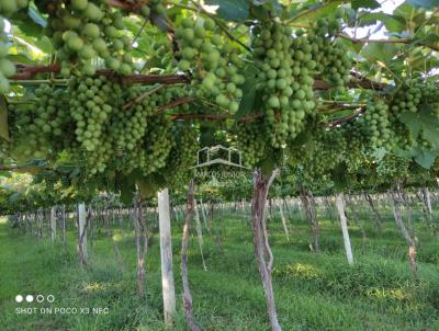 Fazenda para Venda, em Janaba, bairro ZONA RURAL