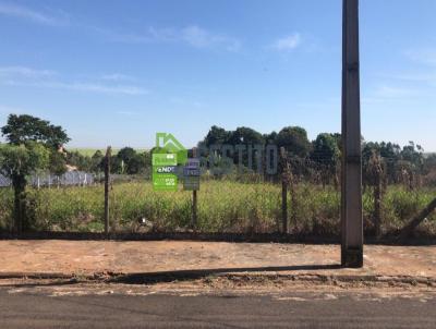 Terreno para Venda, em Catanduva, bairro Jardim dos Coqueiros