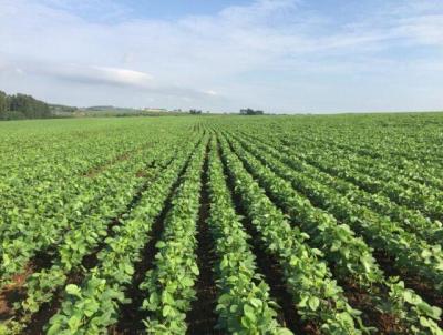 rea Rural para Venda, em Capo do Cip, bairro INTERIOR