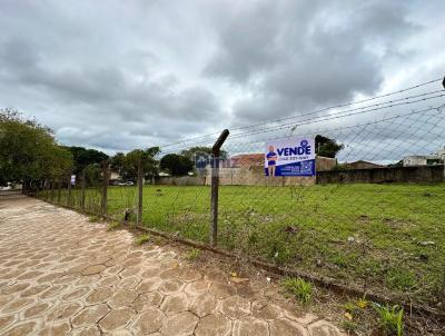 Terreno para Venda, em Telmaco Borba, bairro Centro