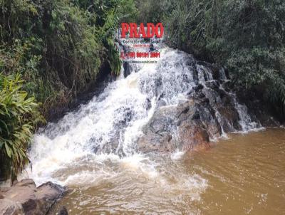 Stio para Venda, em Caconde, bairro Rural, 3 dormitrios, 2 banheiros