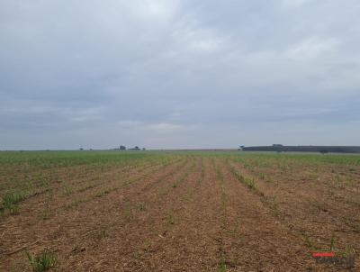 Stio para Venda, em Guaraci, bairro RURAL