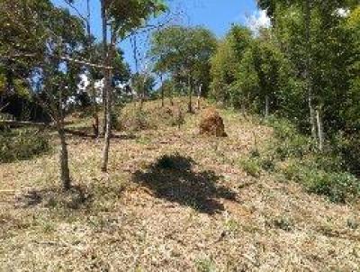 Terreno para Venda, em Barra do Pira, bairro IPIABAS