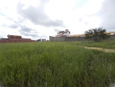 Terreno para Venda, em Maracs, bairro Belo Horizonte