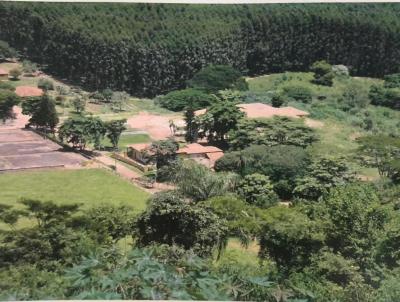 Fazenda para Venda, em Esprito Santo do Pinhal, bairro Zona Rural, 10 dormitrios, 5 banheiros