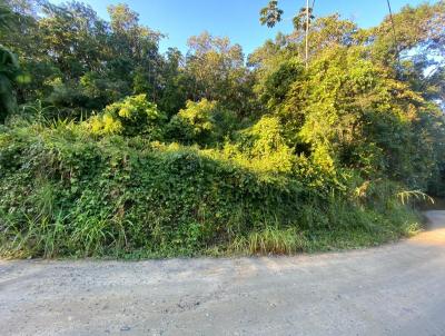 Stio para Venda, em Blumenau, bairro Vila Itoupava