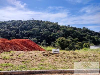 Terreno para Venda, em Bom Jesus dos Perdes, bairro Lamismar II