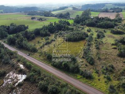 rea Rural para Venda, em Tuparendi, bairro Campininha