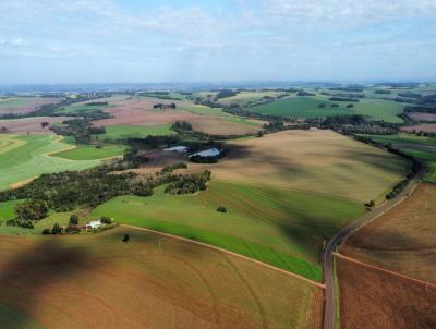 rea Rural para Venda, em Horizontina, bairro Tunas