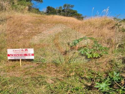 Terreno para Venda, em Concrdia, bairro Naes