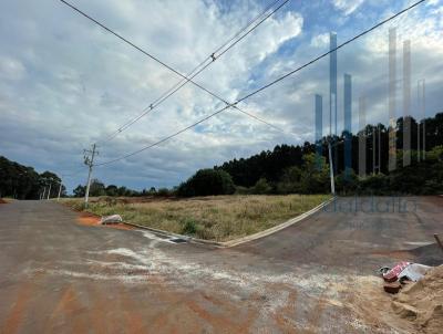 Terreno para Venda, em Frederico Westphalen, bairro Panosso