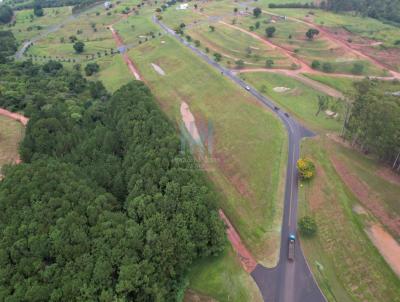 Terreno para Venda, em , bairro Paranapanema