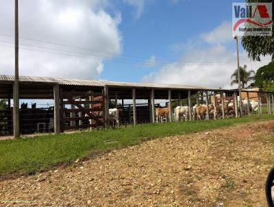 Fazenda para Venda, em So Pedro, bairro rea Rural