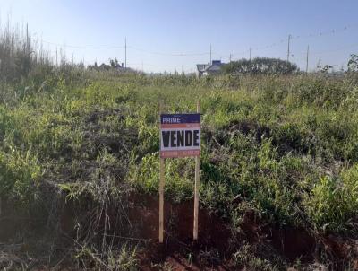 Terreno para Venda, em Marechal Cndido Rondon, bairro Bairro Morumbi.