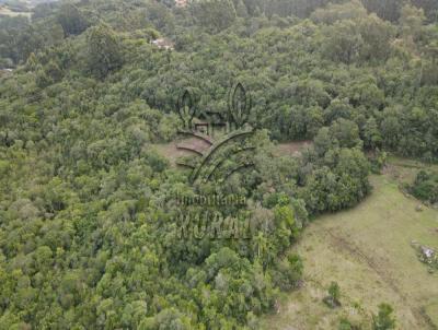 rea Rural para Venda, em Canguu, bairro 2 Distrito