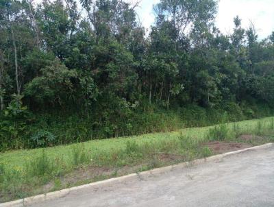 Terreno para Venda, em Itanham, bairro Coronel