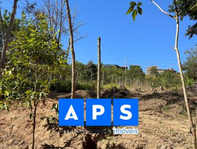 Lote para Venda, em Brumadinho, bairro Silva Prado