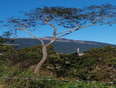 Terreno para Venda, em Atibaia, bairro Jardim Paulista