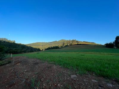 rea Rural para Venda, em Vargeo, bairro INTERIOR