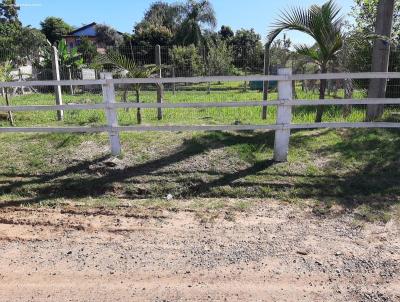 Stio / Chcara para Venda, em Triunfo, bairro Estaleiro