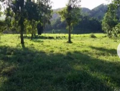 Stio para Venda, em Miracatu, bairro Zona Rural, 6 dormitrios, 3 banheiros, 1 sute