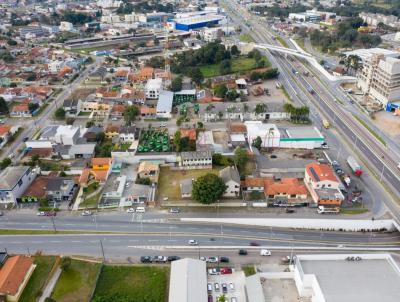 Terreno para Venda, em Araucria, bairro Fazenda Velha