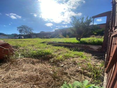 Terreno para Venda, em Araucria, bairro Thomaz Coelho