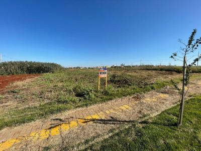 Terreno para Venda, em Marechal Cndido Rondon, bairro Bairro Morumbi.