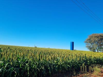 Stio / Chcara para Venda, em Ipauu, bairro Zona Rural