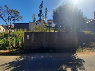Lote para Venda, em Oliveira, bairro Dona Sinhaninha
