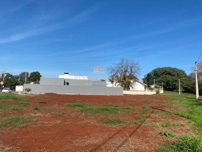 Terreno para Venda, em Santo ngelo, bairro Jardim Sabo