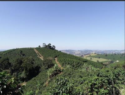 Fazenda para Venda, em , bairro Permetro Rural de Machado